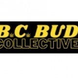 bcbudcollective