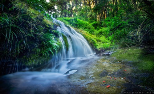 forest 5222x3185 rocks trees plants waterfall river 583