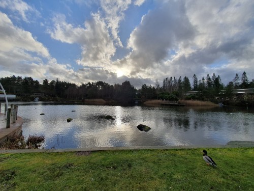 Centre Parcs 2020 - Whinfell Forest in Penrith, Cumbria, UK