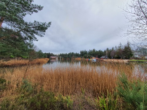 Centre Parcs 2020 - Whinfell Forest in Penrith, Cumbria, UK