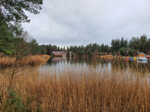 Centre Parcs 2020 - Whinfell Forest in Penrith, Cumbria, UK