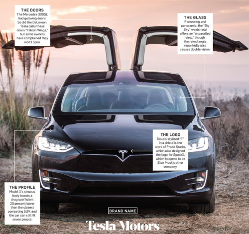 The Tesla Gullwing doors!