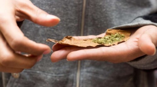 Looking for grabba leaf? knowworldnow.com is a renowned platform that offers excellent knowledge about grabba leaf and fronto leaf hassle-free. Check out our site for more info.
https://knowworldnow.com/fronto-leaf-tobacco-grabba-leaf/