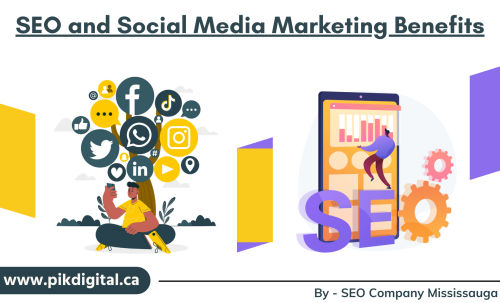 SEO and Social Media Marketing - both of them important for business success. So In this article, SEO Company Mississauga will explain the two currently best-known disciplines of online marketing.

Search Engine Optimization and Social Media Marketing which one best for you read to know: Click here to read more - pikdigitalcanada.blogspot.com/2021/08/mississauga-seo-and-smo-benefits.html