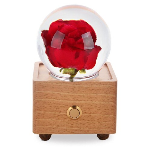 Buy real preserved flower wireless Bluetooth speaker
https://cdn.shopify.com/s/files/1/0059/8769/6704/products/Red_Rose_2_1024x1024@2x.jpg?v=1628178338