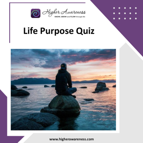 Having a free personality quiz will help to know the person more about themselves as it is one of the best way to scrutinise. 

Visit : https://www.higherawareness.com/free-personality-style-quiz.php