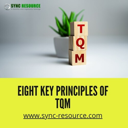 Total Quality Management, most commonly abbreviated as TQM is another branch of continuous improvement approach. Following are the eight key principles of TQM that are widely used in TQM implementation in manufacturing firms.

https://sync-resource.com/total-quality-management/