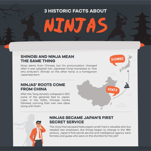 3-Historic-Facts-About-Ninjas8c1ec8152e957fee.jpg