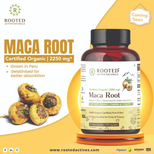 Farmed In The High Andean Mountains Of Peru, Maca Root Is A Powerhouse Of Nutrients As It, May Possess Adequate Levels Of Carbs, Fiber, Vital Vitamins, And Essential Minerals.  Visit Our Website: https://www.rootedactives.com/product/certified-organic-maca-root/