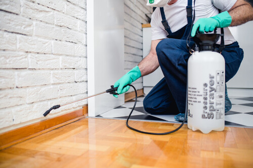 Get Best Pest Control Services | pestsoltions.co

Pestsolutions.co provides pest control services in the residential and commercial sector to keep your home or business free of pests. Please visit our website for more information.

https://pestsolutions.co