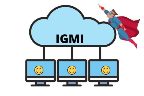 IGMI