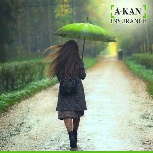 We offer all types of insurances in Edmonton, Alberta like commercial, personal, auto, property, travel, health & life. Contact us today on +780-423-0909 to get insurance as per your preference.

https://www.akaninsurance.ca/