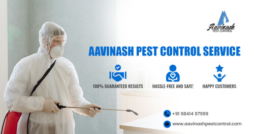 We provide specialized, responsive, accessible, and reliable pest control services to residential and commercial customers. If you need practical and specific pest control services, call us at +91 98414 97999

Visit our website: http://www.aavinashpestcontrol.com/