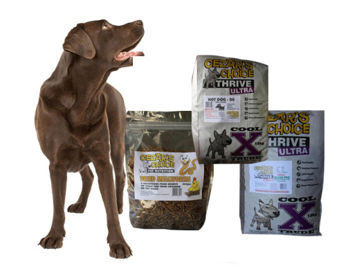 Fit and healthy dog needs all natural dog food in Australia. We Supply all natural dog food Australia wide. Place your order now at Cezar’s Choice and gets instant delivery.