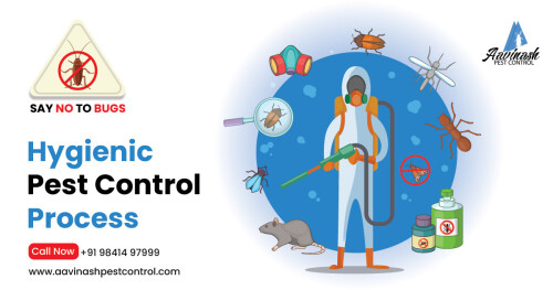 We provide specialized, responsive, accessible, and reliable pest control services to residential and commercial customers. If you need practical and specific pest control services, call us at +91 98414 97999

Visit our website: http://www.aavinashpestcontrol.com/