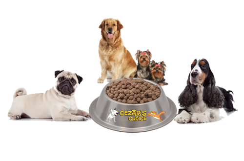 Purchase pet food in good condition (cans, pouches, or bags). Examine the box for evident indications of wear and tear, such as dents, splits, and discoloration. One also buys the best dog food in Australia.