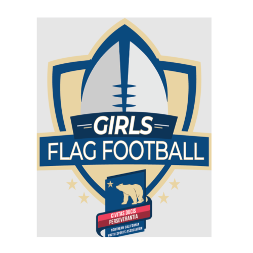 NorCal YSA is the official youth flag football in Roseville and we are the largest youth flag football organization in the U.S. Get your kids to register at our program. Not only boys, but girls also can register at our program. Hurry up and register yourself at our program!

https://norcalysa.org/content/24187/Roseville