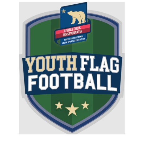 Sign up as an individual today to find some new friends at our Flag Football program in Sacramento. We are one of the largest youth flag football camps in Sacramento. Hurry up and register yourself today!

https://norcalysa.org/content/24188/Sacramento