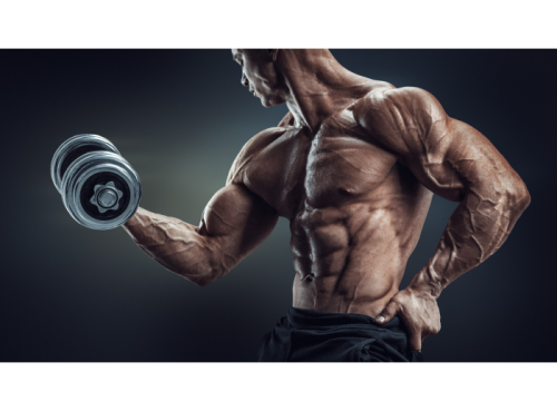 Online search will provide you with some better options to get injizierbare Steroide zu verkaufen. For this, Steroids-2016 is the right store – bringing to you the best form of steroids and ensuring delivery to your address in fully secure way.