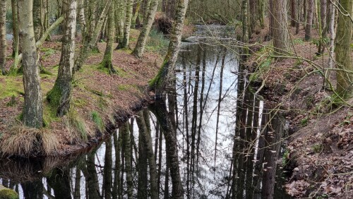 Delamere Forest is a large wood in the village of Delamere in Cheshire, England. The woodland, which is managed by Forestry England, covers an area of 972 hectares making it the largest area of woodland in the county. It contains a mixture of deciduous and evergreen trees