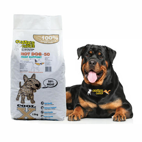 Factors-to-keep-in-Mind-While-Selecting-the-Best-Dog-Food648da6803e570b95.jpg