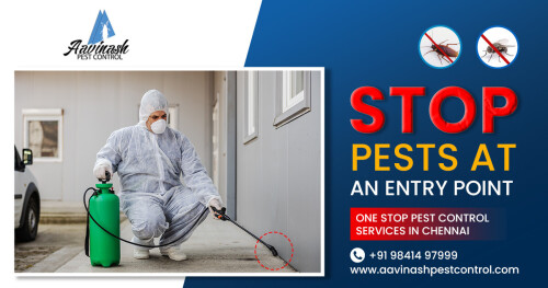 Aavinash is the leading company for Mosquito Control in Chennai. Mosquitoes are one of all India’s most dangerous pests some species transmit Malaria, Dengue, Encephalitis, and Chikungunya virus. Our mosquito service targets these pests so that they don’t goal you. And recall that Aavinash Pest Specialist is only a brief phone call or click on away and could paintings diligently to assist preserve your home/Business and family secure from mosquitoes. We are providing great Mosquito Control Services in Chennai.


Visit Our Website: http://www.aavinashpestcontrol.com/