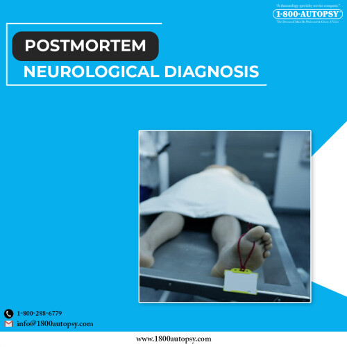 Postmortem-Neurological-Diagnosis-3e203d577613a1830.jpg