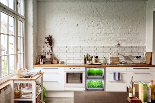 urban-cultivator-kitchen-greens8fbc80c54bc990c1.jpg