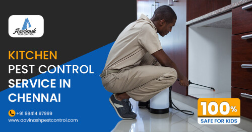 Mosquito-Control-Services-in-Chennai---Aavinashpestcontrol.com3fb1ff2e0ba01bc9.jpg