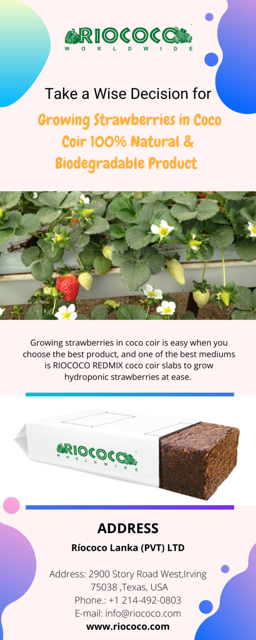 Growing strawberries in coco coir is easy when you choose the best product, and one of the best mediums is RIOCOCO REDMIX coco coir slabs to grow hydroponic strawberries at ease. Visit https://articles.abilogic.com/535732/take-wise-decision-growing-strawberries.html