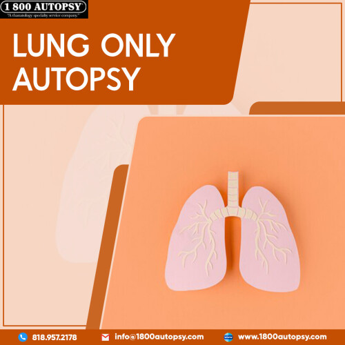 Lung-Only-Autopsy-2-222d401d1140ea1d6.jpg