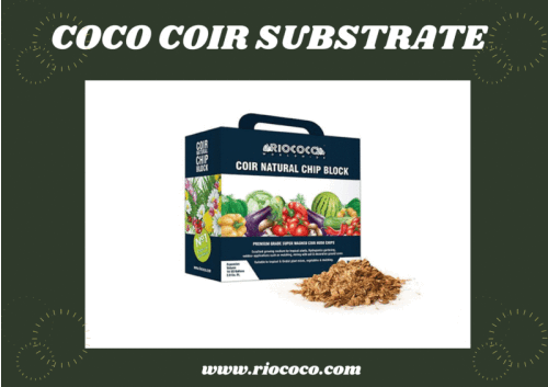 Utilising coco coir substrate for procreating urban gardening is well-known among agriculturists. RICOCCO offers a 100% natural fertilisation medium that can mature at an accelerated pace yielding optimal watermelon plants. As coco coir possesses unique permeable quality retaining 10 times of water of its weight, it helps with excellent aeration for the plants offering the right proportion of oxygen to their roots, apart from draining out excess water. This 100 % super-washed recycle and biodegradable coco coir allocates the essential nutrients and organic fertiliser solutions uniformly for quicker root developments. Contact us at +1 214-492-0803, or visit https://www.riococo.com/