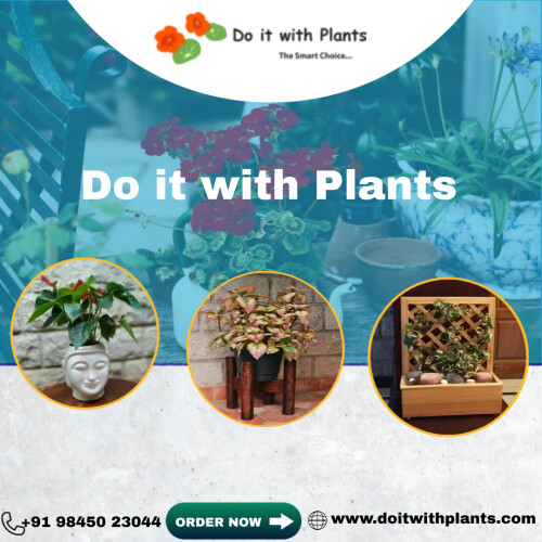 Best-Air-purifying-plants-for-Indoors8ae92992cf75c4aa.jpg