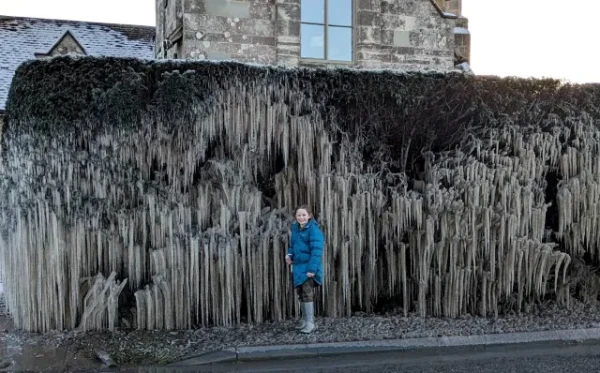 Burst water main creates ‘amazing’ icicle ‘phenomenon’ on street.


People have flocked to see an icicle "phenomenon" created by a burst water main on a street.

The strange structure in Staunton, Gloucestershire, was formed as cars drove past the water main in freezing conditions this week, splashing the water onto a hedge by the side of the road.