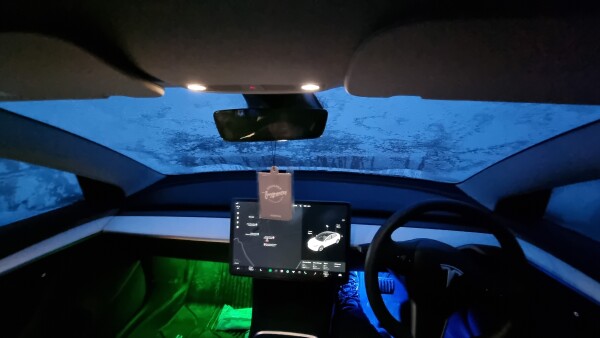 Tesla model 3 interior frozen