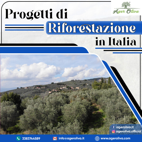 Progetti Di Riforestazione in Italia