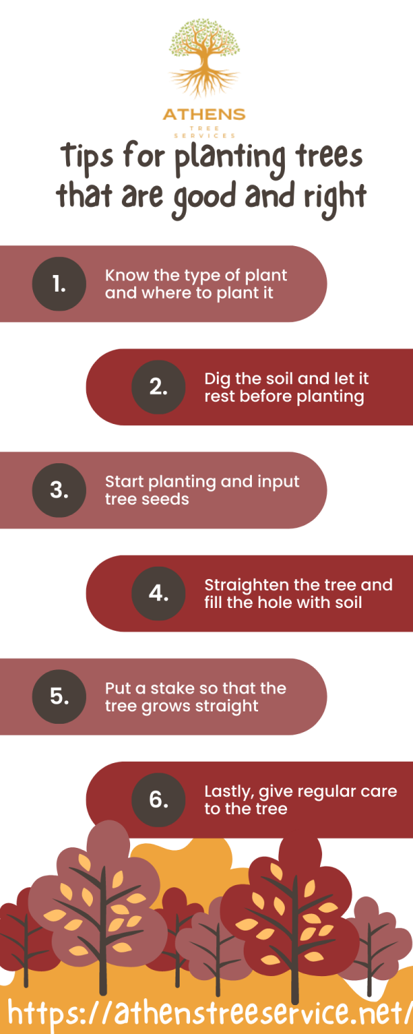 Tips-for-Planting-Trees-That-are-Good-and-Right-Infographicf426f3c00f56db8e.png