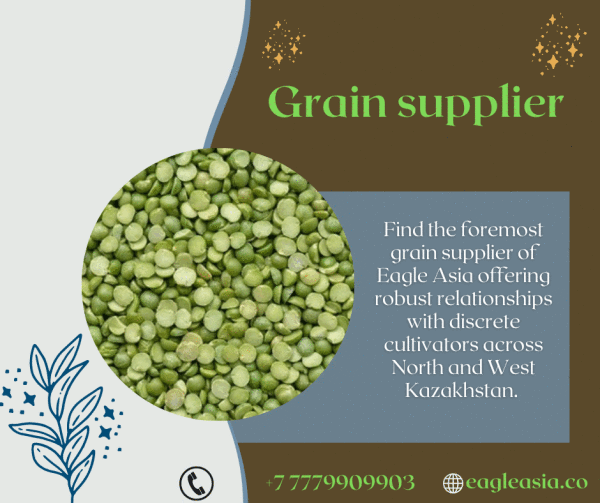 Find the foremost grain supplier of Eagle Asia offering robust relationships with discrete cultivators across North and West Kazakhstan. They furnish top-of-the-line grains including wheat, barley, oats, and flour. Functioning closely with the customers to reduce the impact of unforeseen price hikes, they supply flour to everyone from domestic and independent bakers, to major food retailers and retail multiples. Likewise, they also supply wheat to the regional flour millers; stock feed markets, export markets, and pet food agencies. Visit, https://eagleasia.co/Grain.html