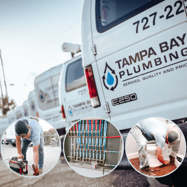 Tampa Bay Plumber contains a team of dedicated and experienced plumbers that can handle any plumbing project in residential homes or commercial offices.

https://tampabayplumber.com/