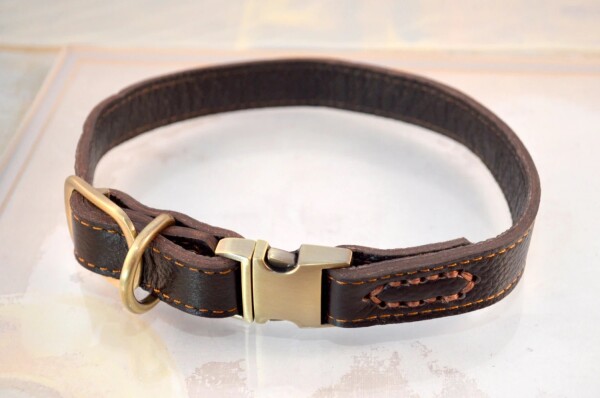 Purchasing a top-quality puppy collars is an essential step towards ensuring the safety and comfort of your pet. These collars not only serve as identifiers but also help keep them secure during walks or outings. High-quality models are crafted from durable materials that help ensure they can withstand wear and tear, making them last longer than cheaper alternatives. Furthermore, there are a plethora of styles available - ranging from classic to contemporary designs; various colours like red and purple; as well as even more unusual choices such as jaguar print! Moreover, adjustable straps allow for comfortable wear by all sizes of puppies without inducing any pain or discomfort around their necks through extended periods of use. Ultimately investing in these accessories is highly recommended for every pet owner desiring nothing short of optimum security for their furry companion's wellbeing!

For More Info:- https://www.pawlane.com.au/collections/puppy-collars