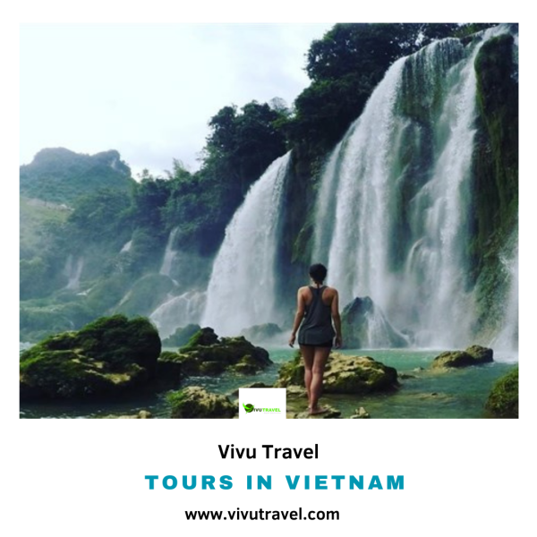 If you are looking for a more adventurous vacation, you may want to consider exploring some of the more remote areas of Vietnam. The Mekong Delta is a wonderful place to start, as it is full of beautiful scenery and is home to many of the country’s most interesting wildlife. Find the best tours in Vietnam options now! Visit us: https://www.vivutravel.com/vietnam-tours