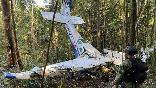 On Friday, in the dead of night at the heart of the Colombian jungle, army radios crackled to life with the message the nation had been praying for: "Miracle, miracle, miracle, miracle."

The military code revealed that four children missing in the jungle for 40 days had all been found - alive.

The youngsters, all members of the indigenous Huitoto people, had been missing since the light plane they were travelling in crashed into the Amazon in the early hours of 1 May.

The tragedy killed their mother and left the children - aged 13, nine, four and one - stranded alone in an area teeming with snakes, jaguars and mosquitos.

Rescuers initially feared the worst, but footprints, partially eaten wild fruit, and other clues soon gave them hope that the children might be alive after they left the crash site looking for help.

Over the next six weeks the children battled the elements - and the odds - in what Colombia's President Gustavo Petro called "an example of total survival which will remain in history".

'Children of the jungle'
If there were ever children well-prepared to tackle such an ordeal, the Mucutuy family were them.

Huitoto people learn hunting, fishing and gathering from an early age, and their grandfather Fidencio Valencia told reporters that the eldest children, Lesly and Soleiny, were well acquainted with the jungle.

Speaking to Colombian media the children's aunt, Damarys Mucutuy, said the family would regularly play a "survival game" together growing up.

"When we played, we set up like little camps," she recalled. Thirteen-year-old Lesly, she added, "knew what fruits she can't eat because there are many poisonous fruits in the forest. And she knew how to take care of a baby".

After the crash, Lesly built makeshift shelters from branches held together with her hair ties.

She also recovered Fariña, a type of flour, from the wreckage of the Cessna 206 plane they had been travelling in.

The children survived on the flour until it ran out and then they ate seeds, Edwin Paki, one of the indigenous leaders who took part in the search effort, told reporters.

"There's a fruit, similar to passionfruit, called avichure," he said. "They were looking for seeds to eat from an avichure tree about a kilometre and a half from the site of the plane crash."

Astrid Cáceres, head of the Colombian Institute of Family Welfare, said the timing of their ordeal meant the "the jungle was in harvest" and they could eat fruit that was in bloom.

But they still faced significant challenges surviving in the inhospitable environment.

Speaking to BBC Mundo on Saturday, indigenous expert Alex Rufino said the children were in "a very dark, very dense jungle, where the largest trees in the region are".

And while there are leaves with which the children could purify water, he warned that "others are poisonous".

"It is an area that has not been explored. The towns are small, and they are next to the river, not in the jungle," he added.

In addition to avoiding predators, the children also endured intense rainstorms and may have had to evade armed groups said to be active in the jungle.

At one stage, the children were forced to defend themselves from a wild dog, President Petro said.

But Mr Rufino noted that a 13-year-old raised in an indigenous community would already possess many of the skills needed to thrive in such an environment.

John Moreno, leader of the Guanano group in Vaupes, in the south-eastern part of Colombia where the children were raised, said they had been "raised by their grandmother", a widely respected indigenous elder.

"They used what they learned in the community, relied on their ancestral knowledge in order to survive," he said.

A dramatic rescue
As the search continued, officials in Bogota came under pressure over its slowness. President Petro faced criticism after his office falsely published a tweet saying the children had been found.

Authorities dropped 10,000 leaflets with survival tips written in Spanish and the indigenous Huitoto language, and helicopters blared messages from their grandmother from speakers to reassure the children they were being looked for.

But unbeknownst to the media, the army was coming increasingly close to finding the family. On several occasions rescue teams passed within 20 to 50 metres (66 to 164ft) of where the children were found, search commander Gen Pedro Sánchez said.

By the time the children were discovered, about 150 troops and 200 volunteers from local indigenous groups were involved in the operation, which was combing an area of over 300km sq (124sq miles).

"This isn't a search for a needle in a haystack, it's a tiny flea in a vast carpet, because they keep moving," Gen Sanchez told reporters during the hunt.

But on Friday, after a month-long search, specialist rescue dogs found the children.

A video shared by Colombia's ministry of defence showed the children being lifted into a helicopter in the dark above the tall trees. They have been flown to the nation's capital Bogota, where ambulances have taken them to hospital for further medical treatment.

The children's family thanked the army for continuing their search despite the low odds of survival, and they urged the government to bring the children home as soon as possible.

"I never lost hope, I was always supporting the search. I feel very happy, I thank President Petro and my 'countrymen' who went through so many difficulties," their grandmother told state media.

President Petro also hailed the efforts of the army and the volunteers, praising "the meeting of knowledge: indigenous and military", adding that "this is the true path of peace".

But he reserved special praise for the children and their relationship with the environment.

"They are children of the jungle, and now they are also children of Colombia," he said.

While many in the deeply catholic Colombia have referred to the children's rescue as a "miracle", Mr Rufino, the indigenous expert, said the real story lay in their "spiritual connection with nature".

"The jungle is not only green, but there are ancient energies with which the populations relate, learn and help each other," he said.

"It is difficult to understand this, I know, but this is a good opportunity for society, human beings, to learn about the different worldviews that exist in the territories.

"The same mother, who became a spirit after the accident, protected them," he said. "And only now is she going to start resting."