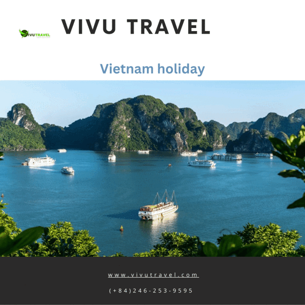 It is good to go on holiday in Vietnam. The country has a lot to offer tourists, including beaches, mountains, and temples. Find the top rated Vietnam holiday packages here! Visit us : https://www.vivutravel.com/vietnam-tours/21-vietnam-holiday-in-your-eyes