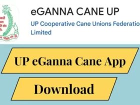 eGanna-app-download-280x210fd0d540091c8c807.jpg