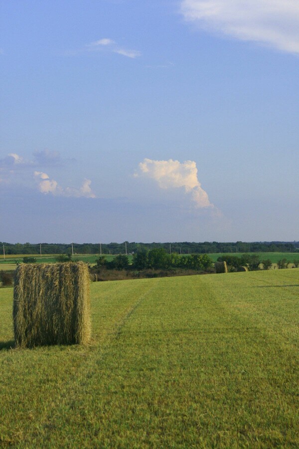 hay-equipment-in-kansas3c7544efd3240915.jpg