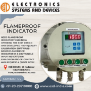 Flameproof-Indicatorc8cb405baee18f1a.png