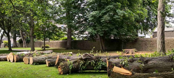 Please use the Pinecrest estimate request form to let us know about you and your Philadelphia tree service and tree removal needs. Get more information about tree service philadelphia pa on this site https://www.pinecresttreeservices.com/