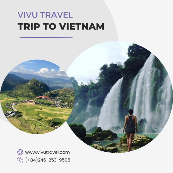 Whether you want to relax on the beach, explore the jungle, or learn about the country's history and culture, a trip to Vietnam is sure to be an unforgettable experience. Now plan a trip to Vietnam. Visit us: https://www.vivutravel.com/vietnam-travel-testimonials/exciting-9-day-trip-to-vietnam