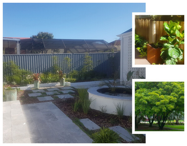 Commercial-Landscaping-in-Perthc8ea7b0d4484ca97.jpg