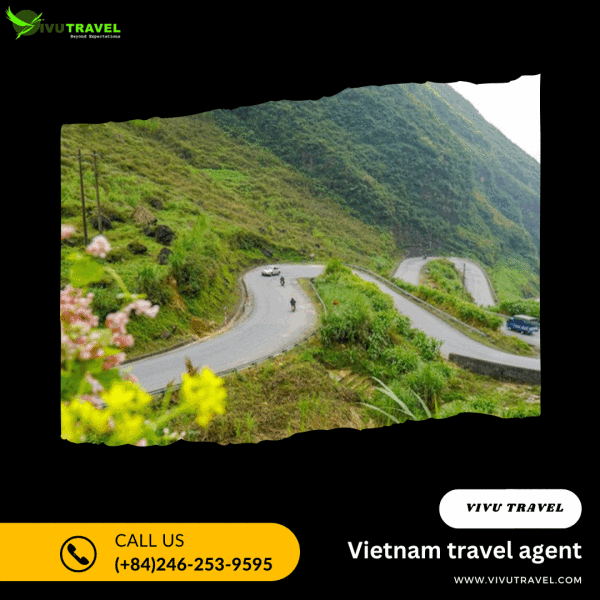 A Vietnam travel agent can help you plan your trip, book your flights and accommodation, and provide you with information and advice on things to do and see in Vietnam. If you plan to go then, visit Vietnam travel agent at : https://www.vivutravel.com/